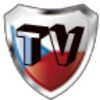 Russian TV Channels 200 icon