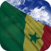 Senegal Flag icon