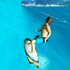 PEPI Surf 3D icon
