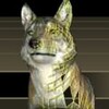 WolfQuest icon