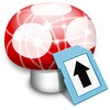 Wii Transfer icon