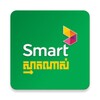 SmartNas icon