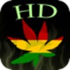 Hemp Wallpapers icon