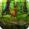 Dawn Forest 3D icon