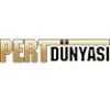 Pert Dünyası icon