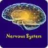 Nervous System Physiology icon