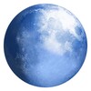 Pale Moon icon