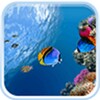 Ocean Fish Live Wallpaper आइकन