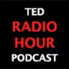 Podcast Player for the TED Rad icon