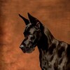 Great Dane Dog Simulator icon