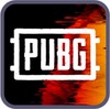 PUBG Wallpapers icon