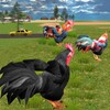 Icono de Angry Rooster Fight Simulator