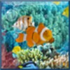 Aquarium Free Live Wallpaper icon