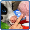 Cow milking icon