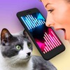 Icono de Cat Translator Pet Talk Meow