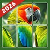 Icono de Jigsolitaire Puzzle: Slide Fun