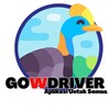 Gowdriver simgesi