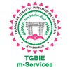 TSBIE m-Services icon