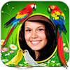 Bird 3D Live Wallpaper icon