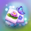 Blossom Match icon