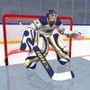 Pictogramă HockeyStars3D
