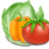 VegetablesNinja icon