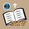 Icône NIV BIBLE apps: audio and book