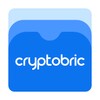 Cryptobric - Mobile Security icon