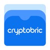 Икона Cryptobric - Mobile Security