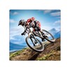 Икона Bicycle Stunts