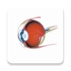 Икона Retina LMS