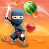 Chop Ninja icon