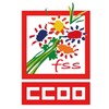 FSS CCOO icon