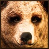 Ultimate Bear Simulator icon
