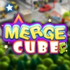 Icon von Merge Cube