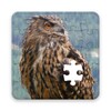 Icono de Owl Puzzle