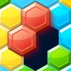 1010 Hexa Block icon