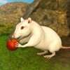 Mouse Simulator 3d Mouse Games icon