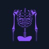 Icono de Basic Radiology for medical st