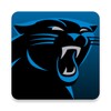 Icono de Panthers