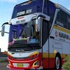 Bus Simulator X icon