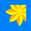 Gallery icon