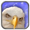 Eagle Live Wallpaper icon