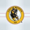 Boston Hockey - Bruins Edition icon