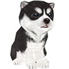 Youndoo [Cute puppy] icon