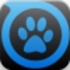 CrazyCats icon