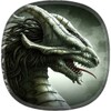 Fonds décran dragon icon