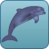 Dolphin Run icon