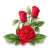 Amazing Flowers Images Gif Rose Stickers Wallpaper icon