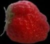Strawberries Free icon